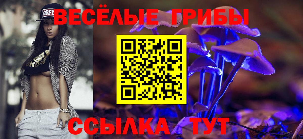 Галлюциногенные грибы Magic Shrooms Елабуга